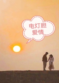 电灯胆爱情电灯胆爱情